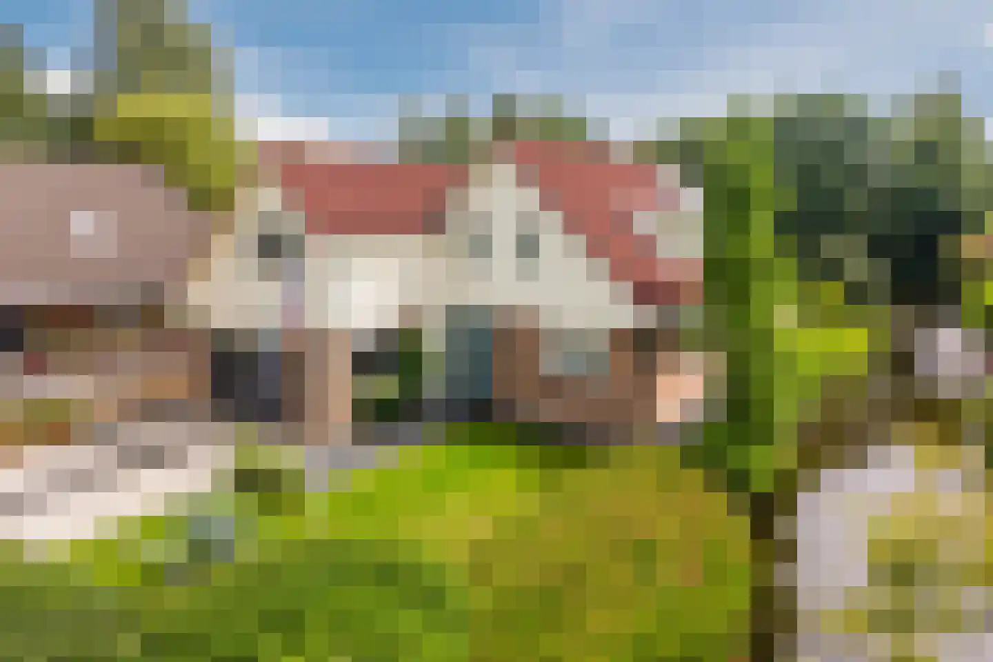 Lijster 10 Zuid-Scharwoude thumbnail 5