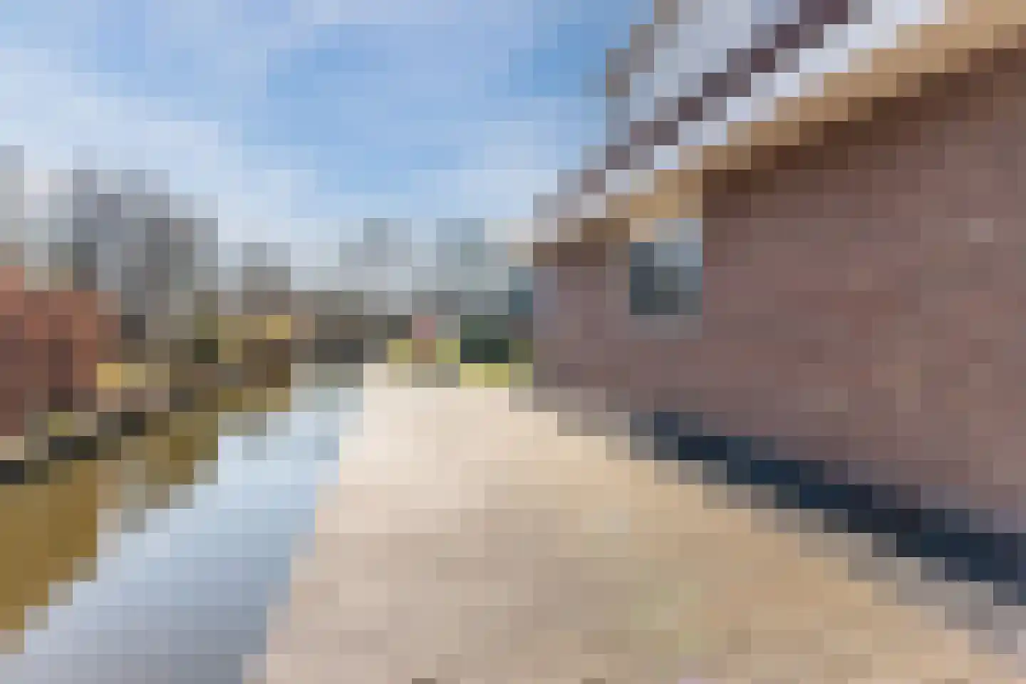Lijster 10 Zuid-Scharwoude thumbnail 5