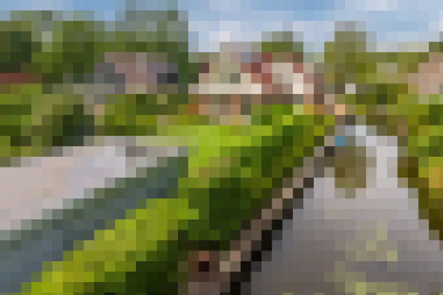 Lijster 10 Zuid-Scharwoude thumbnail 50