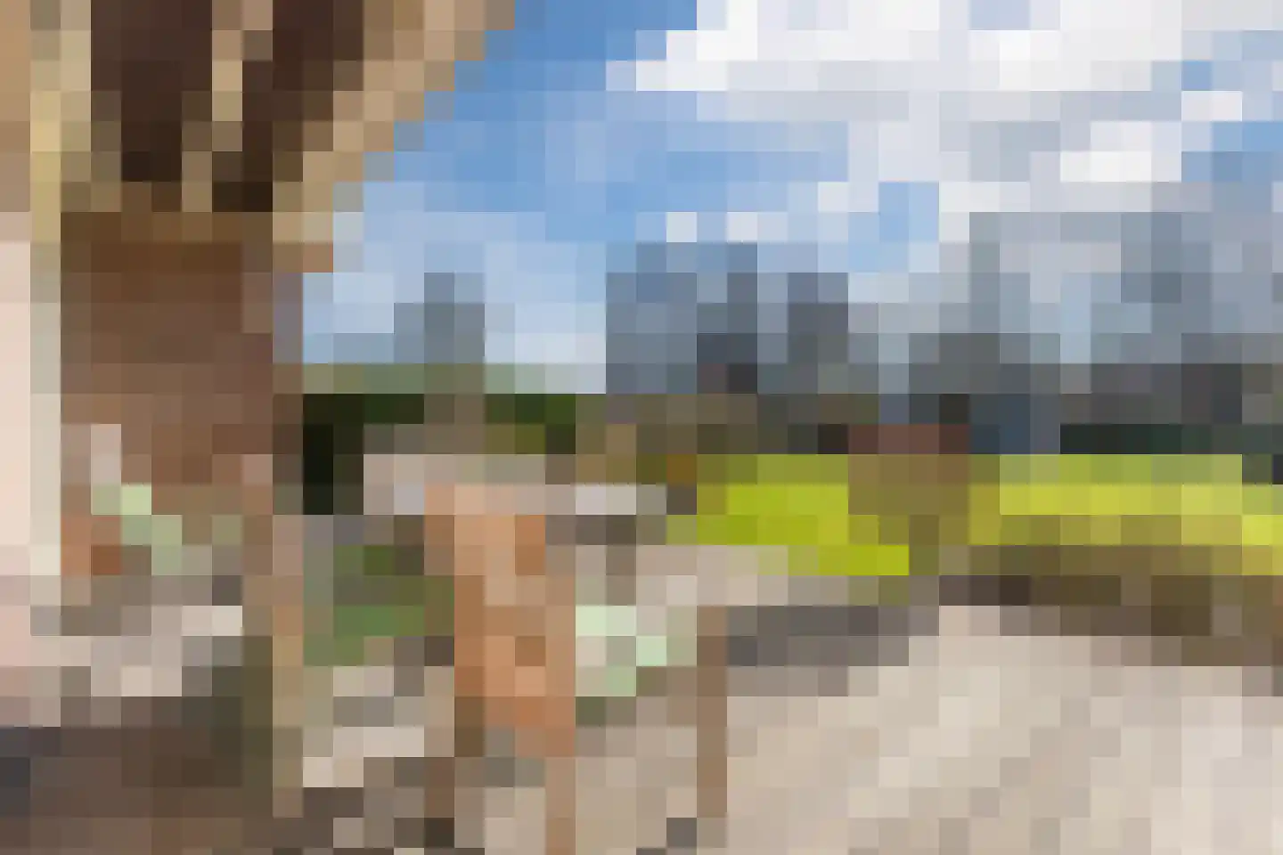 Lijster 10 Zuid-Scharwoude thumbnail 51