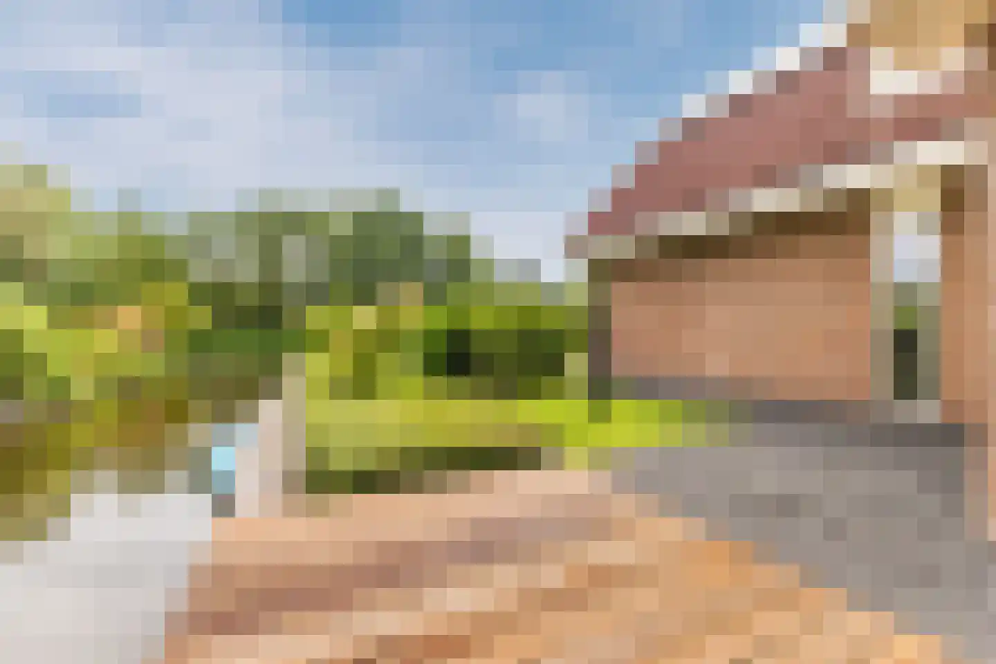 Lijster 10 Zuid-Scharwoude thumbnail 51
