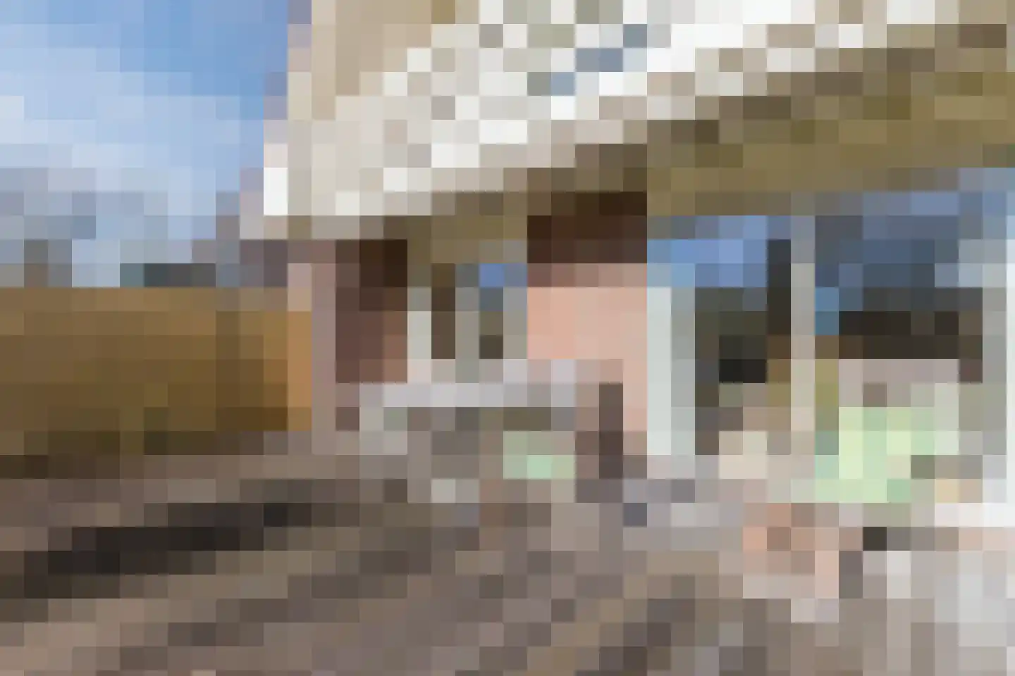Lijster 10 Zuid-Scharwoude thumbnail 52