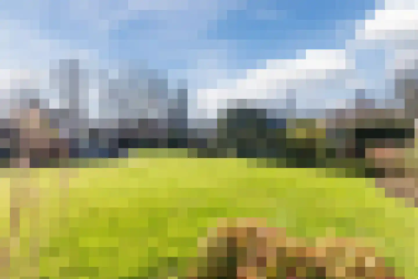 Lijster 10 Zuid-Scharwoude thumbnail 53