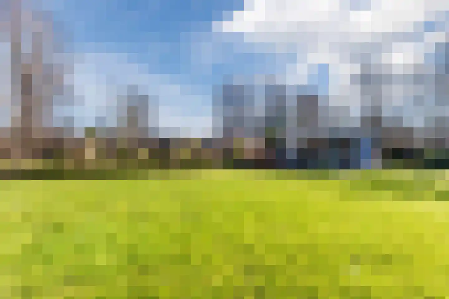 Lijster 10 Zuid-Scharwoude thumbnail 54