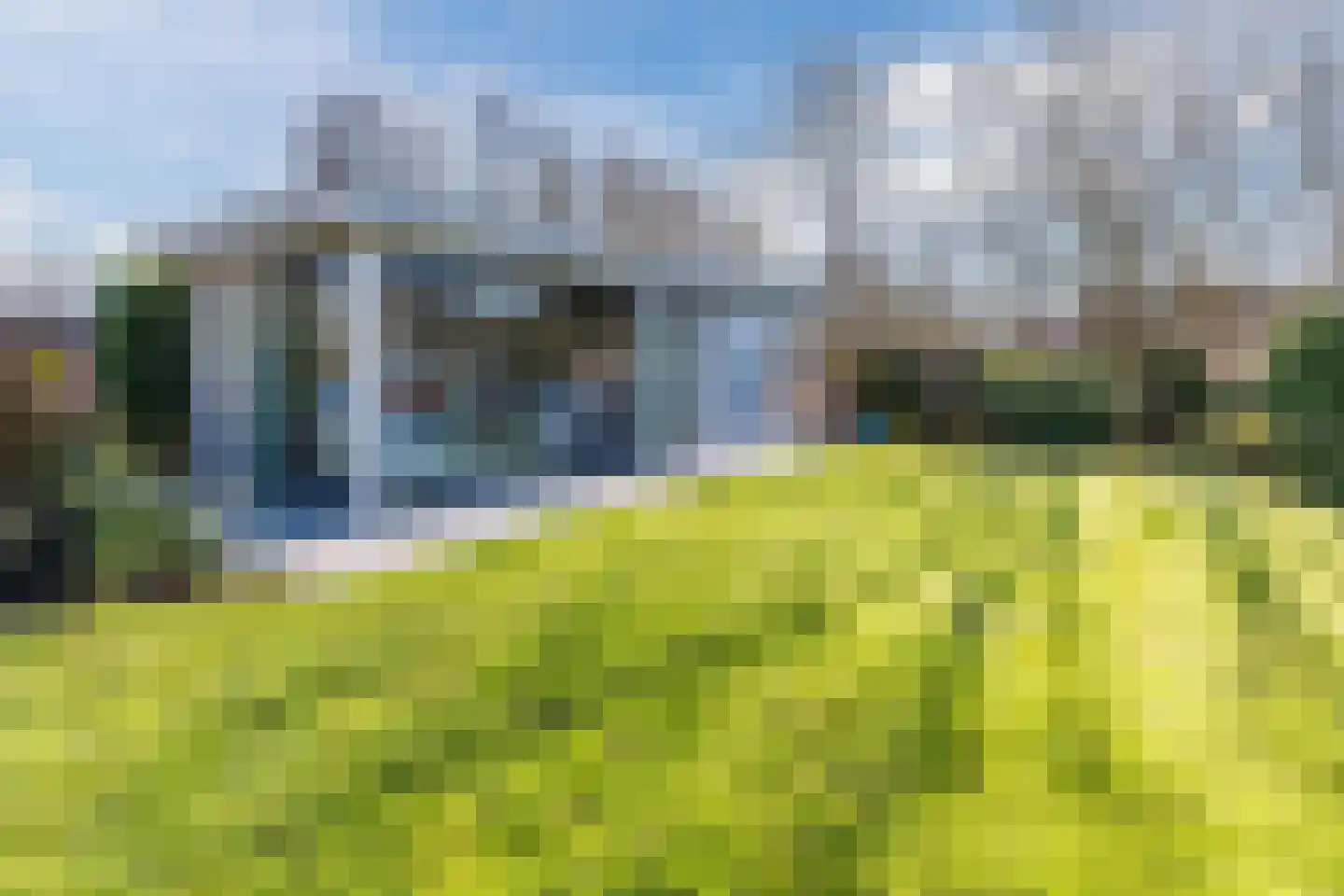 Lijster 10 Zuid-Scharwoude thumbnail 55