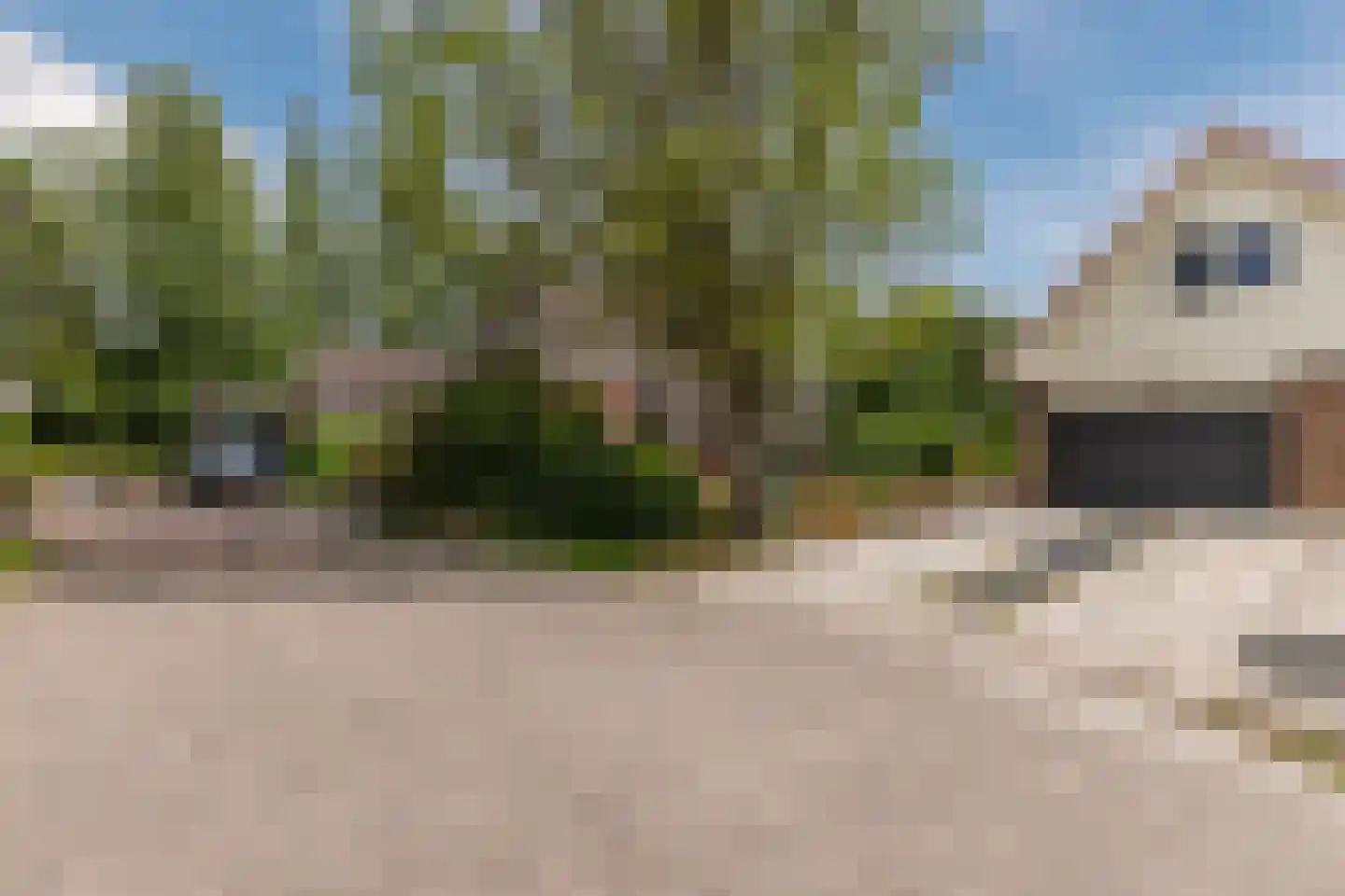 Lijster 10 Zuid-Scharwoude thumbnail 56