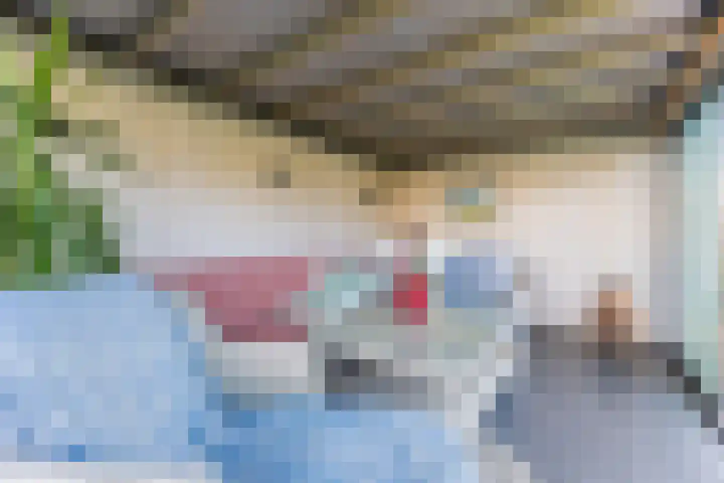 Lijster 10 Zuid-Scharwoude thumbnail 56