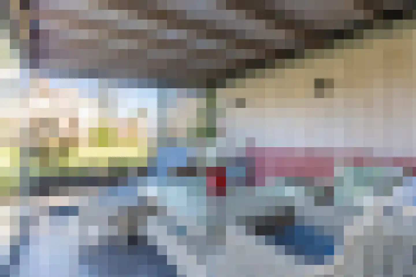 Lijster 10 Zuid-Scharwoude thumbnail 57