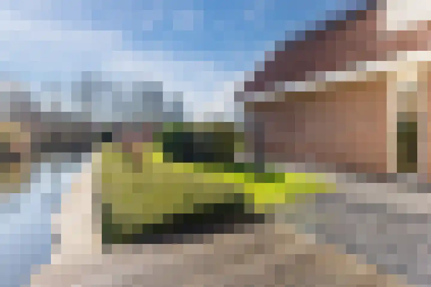 Lijster 10 Zuid-Scharwoude thumbnail 58