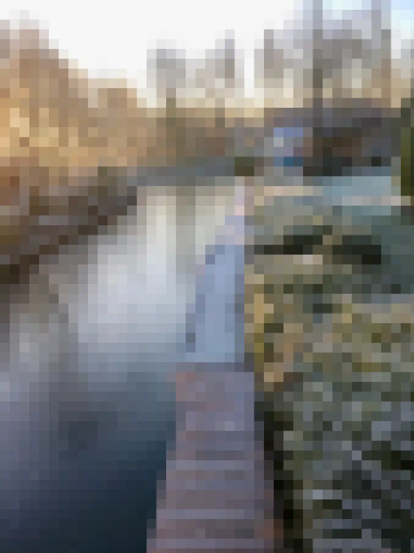 Lijster 10 Zuid-Scharwoude thumbnail 59