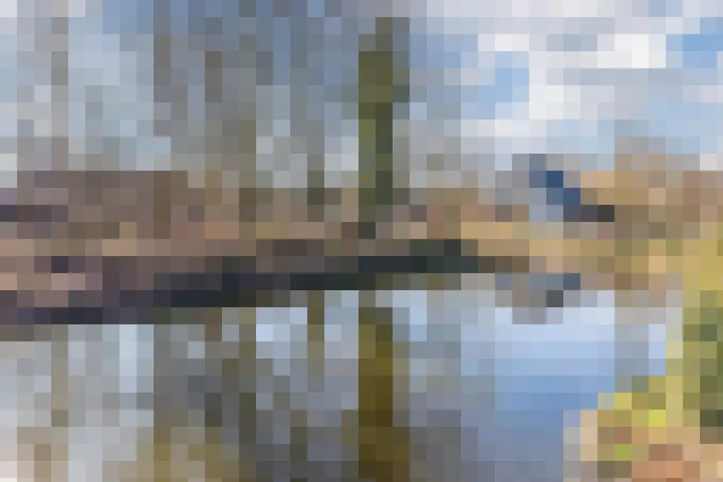 Lijster 10 Zuid-Scharwoude thumbnail 6