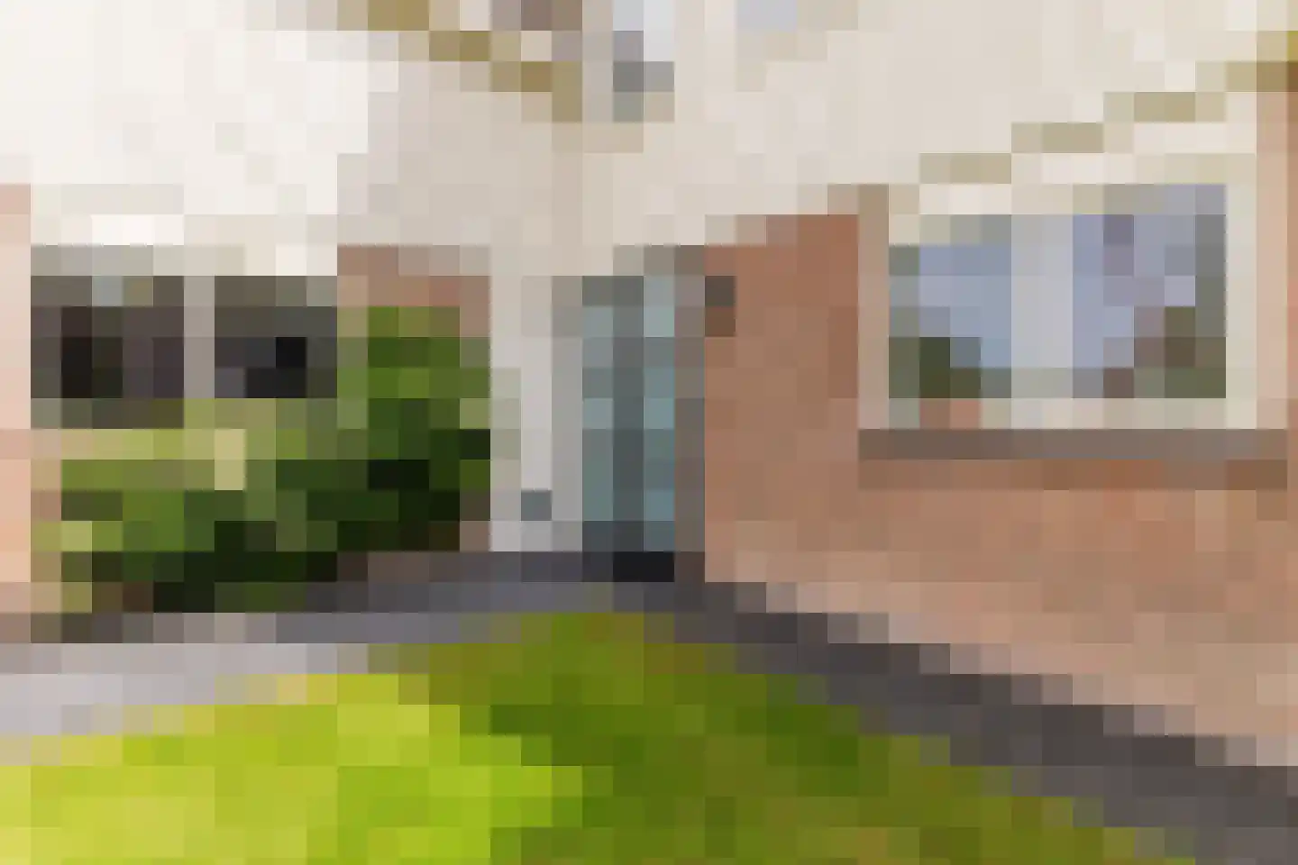 Lijster 10 Zuid-Scharwoude thumbnail 6