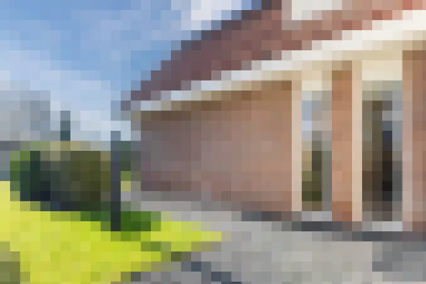 Lijster 10 Zuid-Scharwoude thumbnail 61