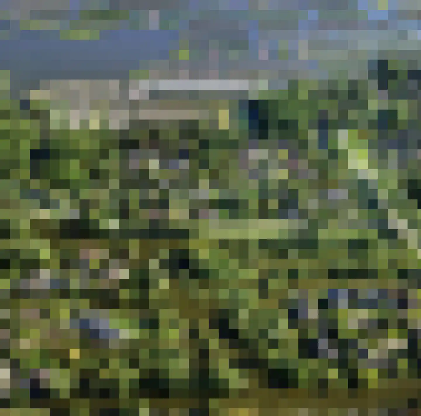 Lijster 10 Zuid-Scharwoude thumbnail 62