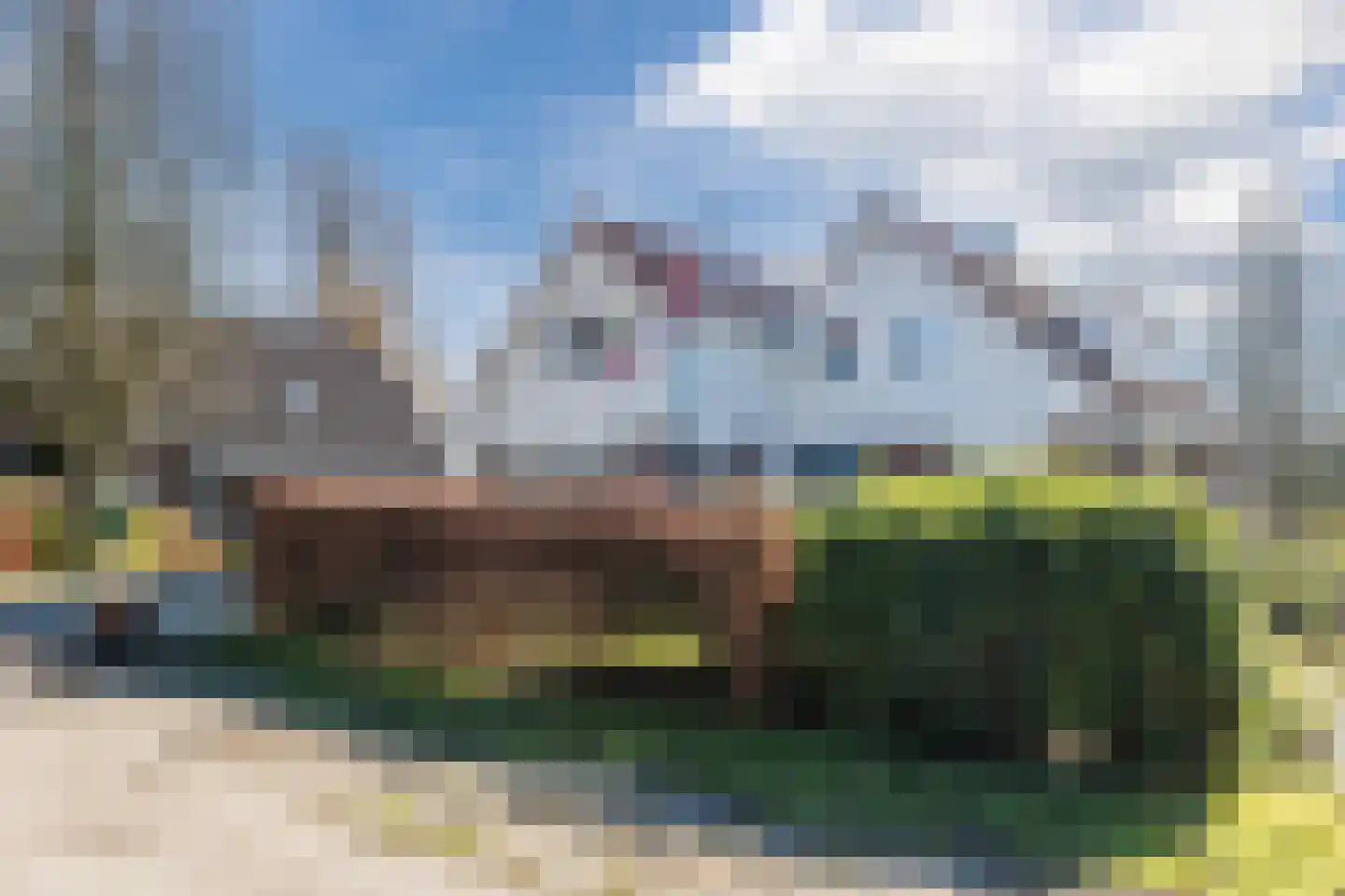 Lijster 10 Zuid-Scharwoude thumbnail 7