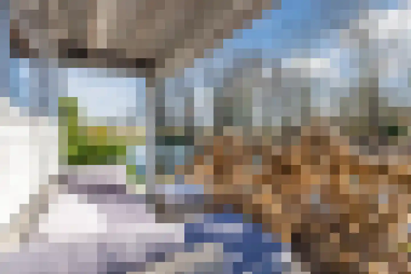 Lijster 10 Zuid-Scharwoude thumbnail 8
