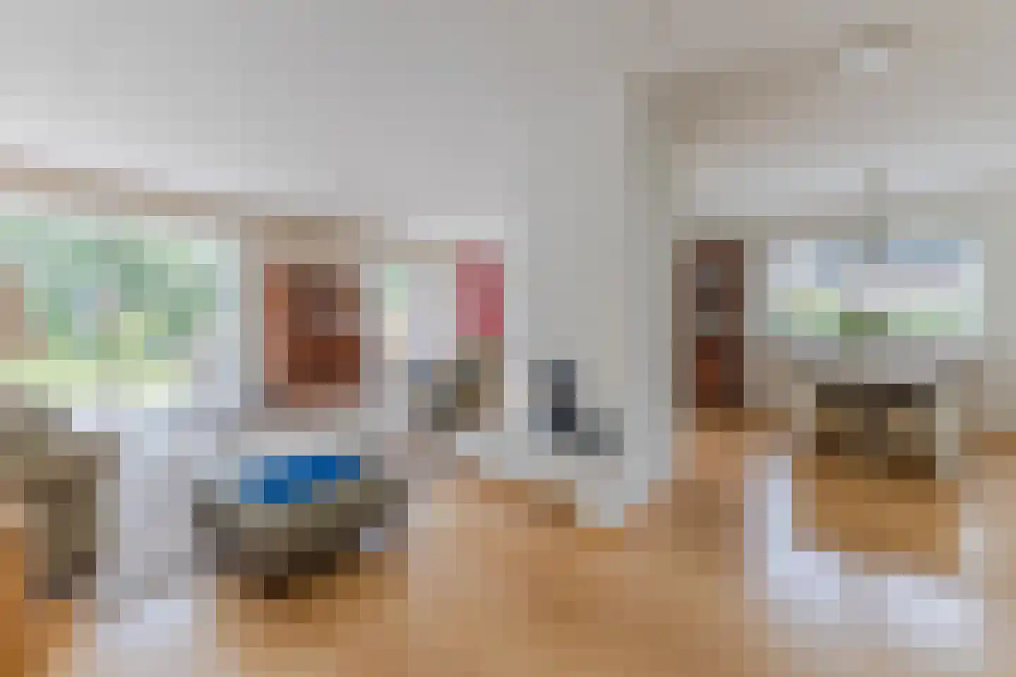 Lijster 10 Zuid-Scharwoude thumbnail 8