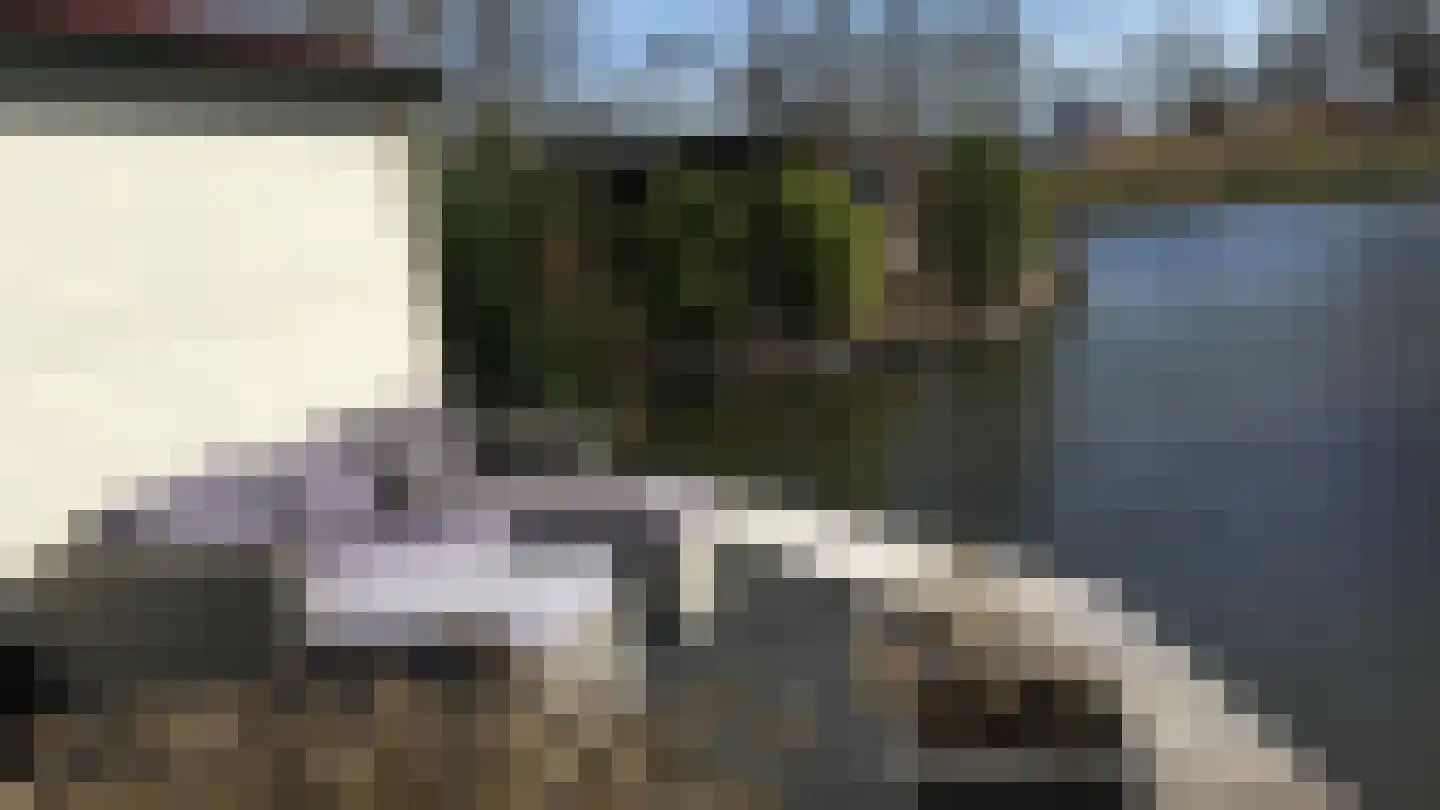 Lijster 10 Zuid-Scharwoude thumbnail 9