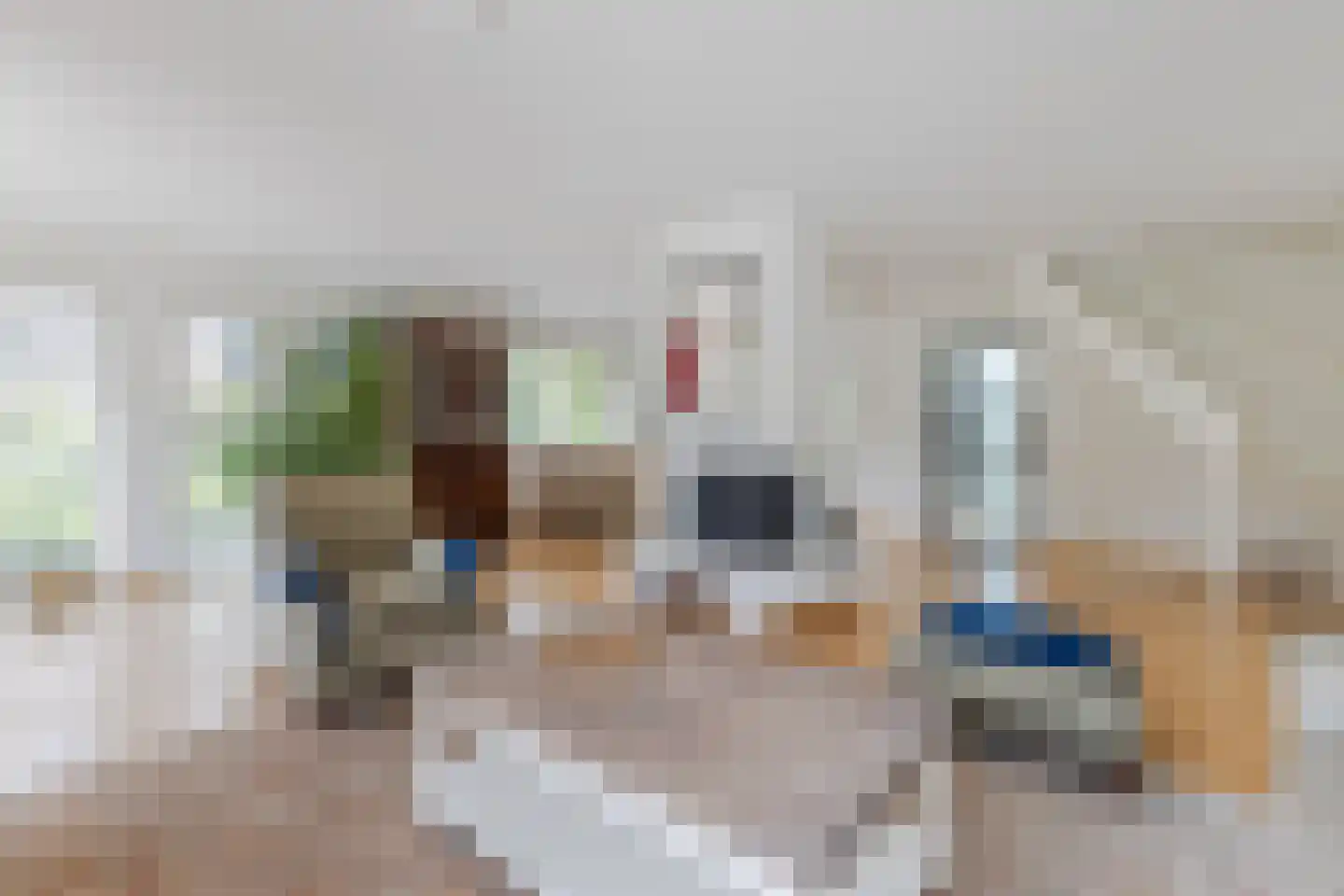 Lijster 10 Zuid-Scharwoude thumbnail 9