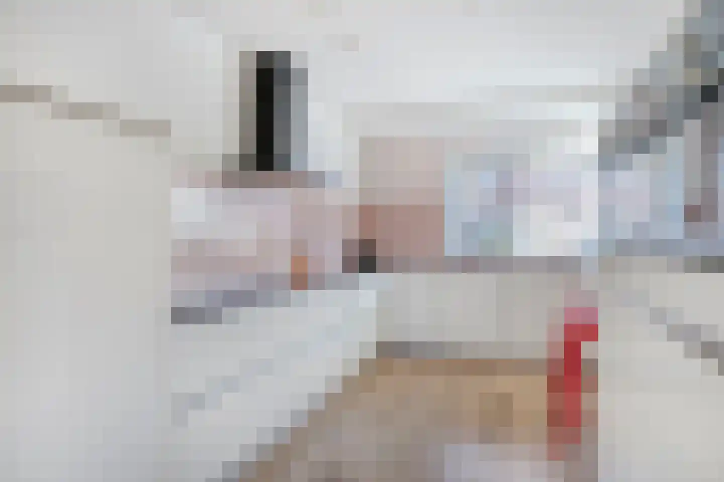 Lijster 14 Eijsden thumbnail 14