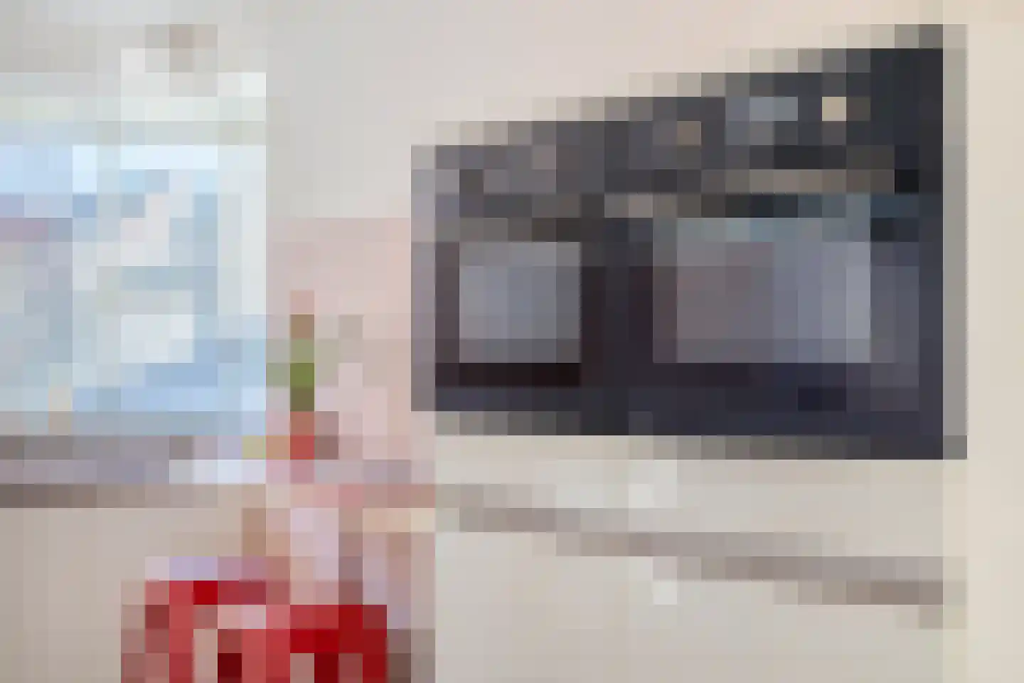 Lijster 14 Eijsden thumbnail 17