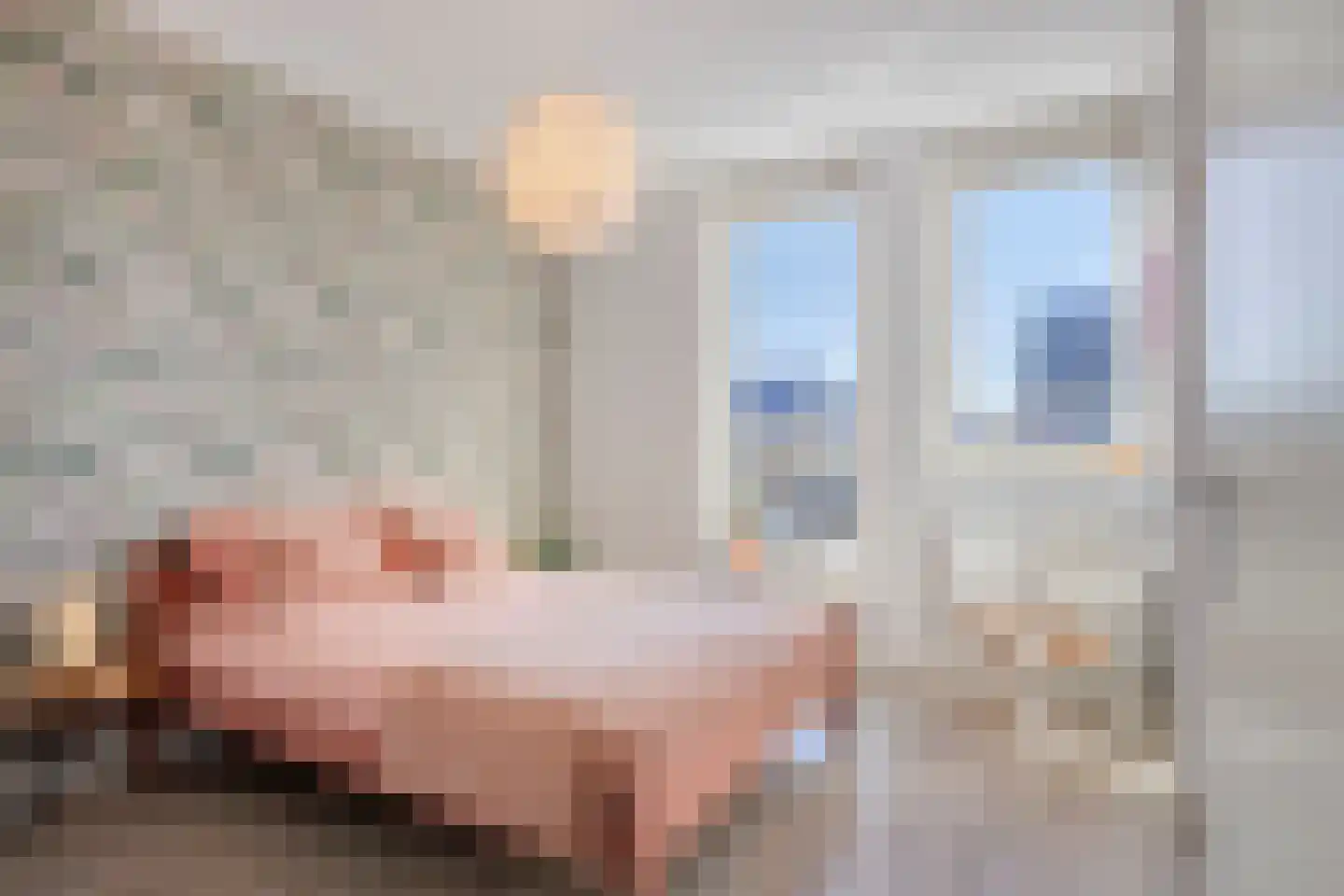 Lijster 14 Eijsden thumbnail 25