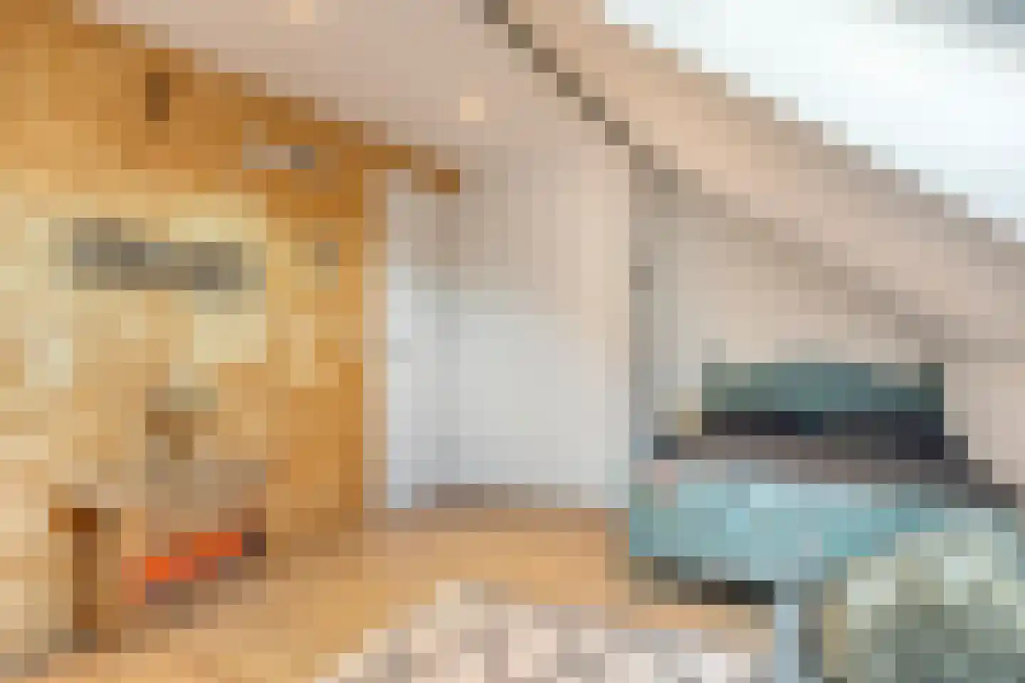 Lijster 14 Eijsden thumbnail 31