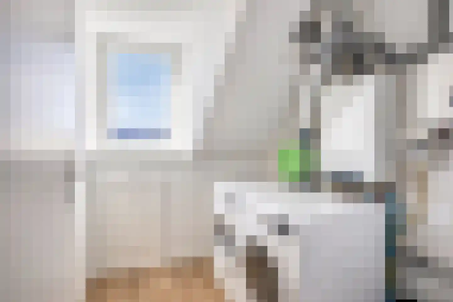 Lijster 14 Eijsden thumbnail 32
