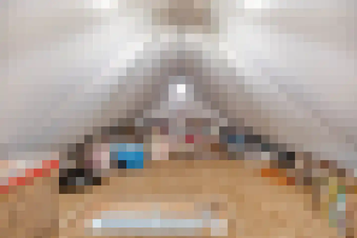 Lijster 14 Eijsden thumbnail 33
