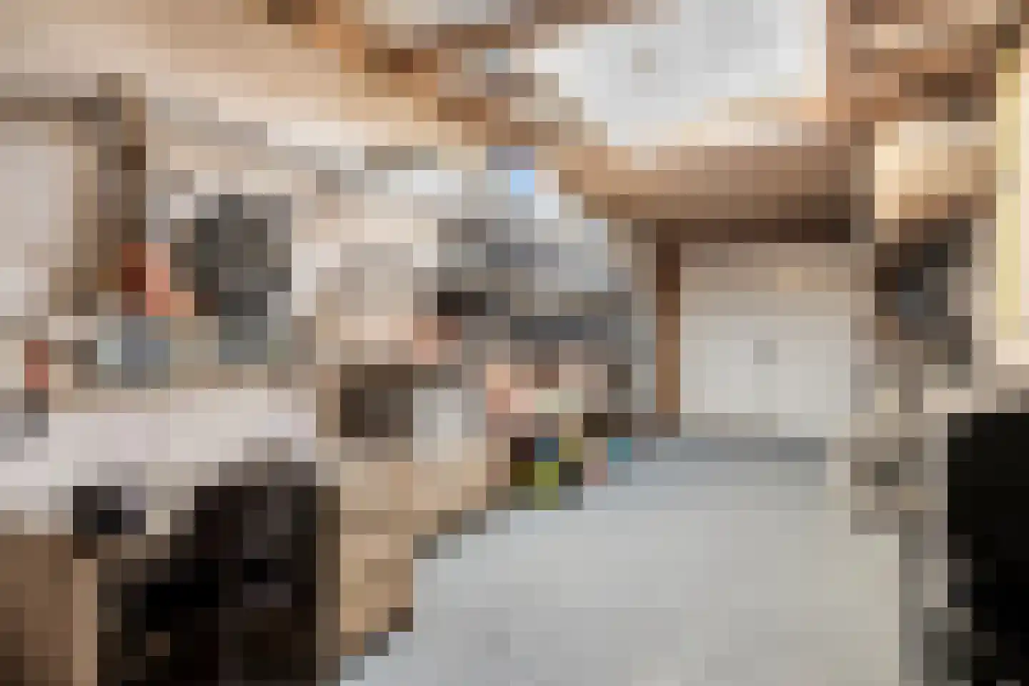 Lijster 14 Eijsden thumbnail 34