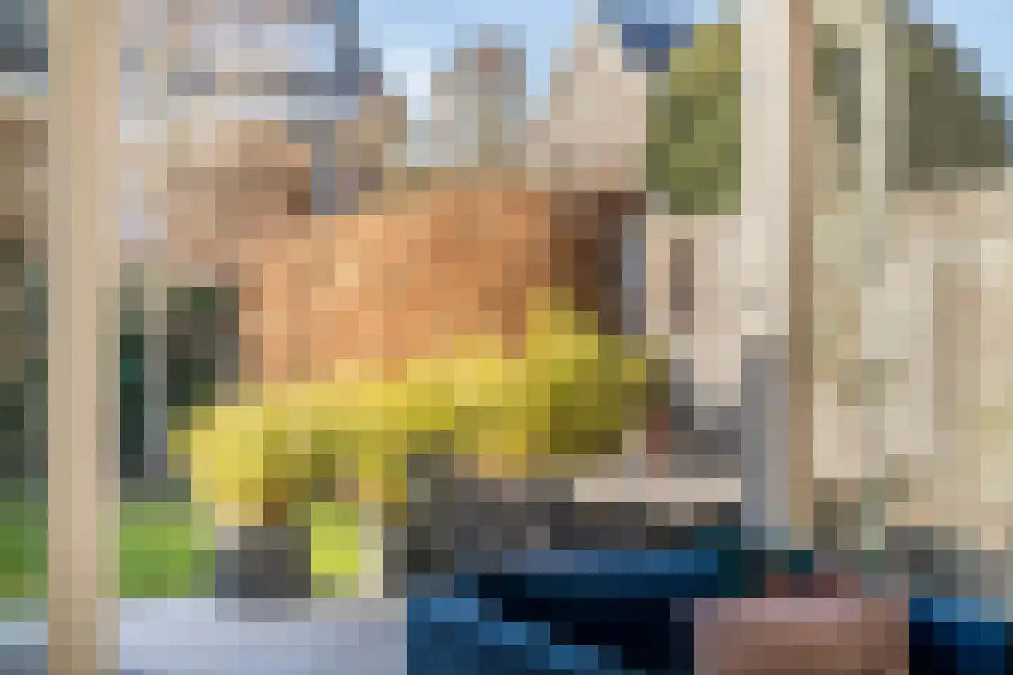 Lijster 14 Eijsden thumbnail 36