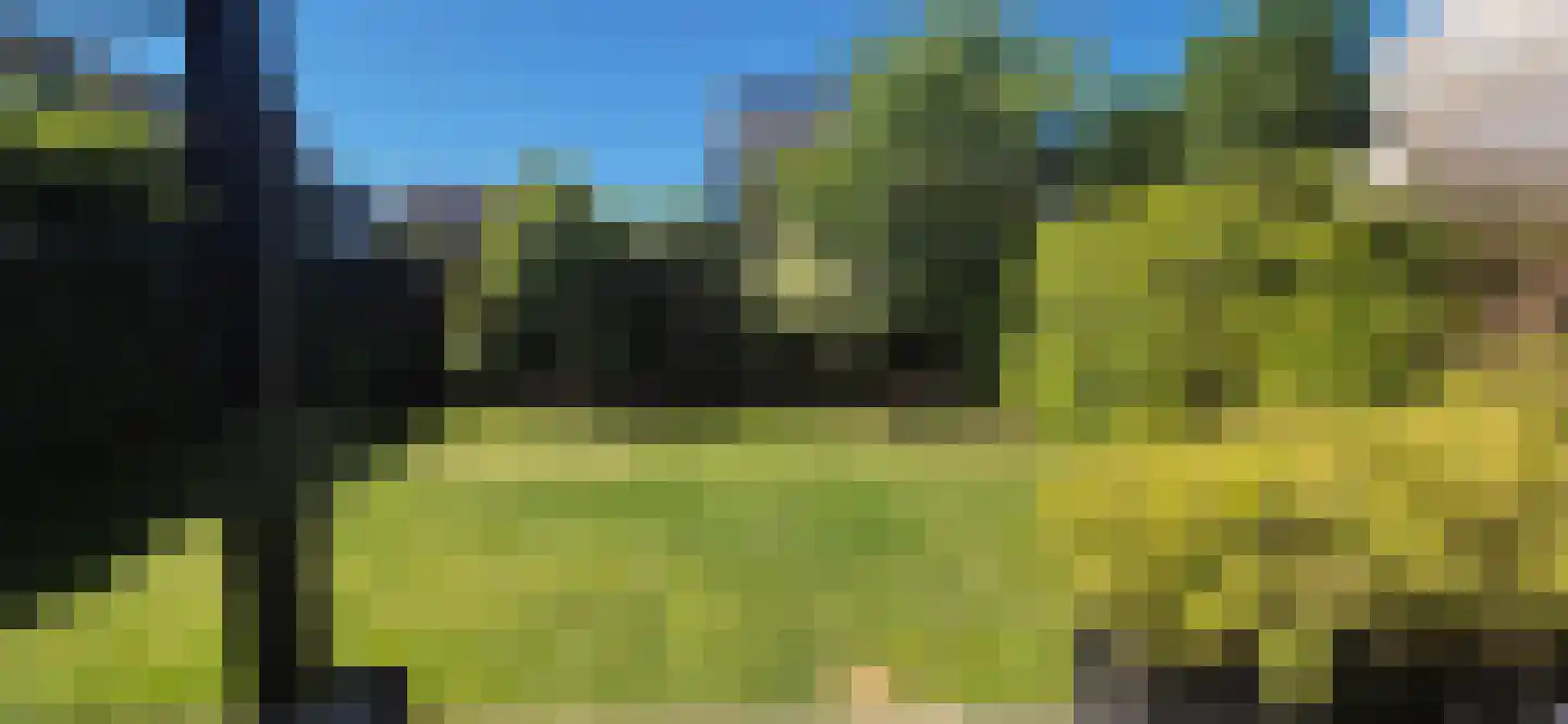 Lijster 14 Eijsden thumbnail 38