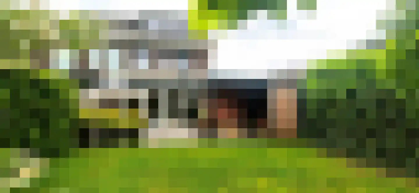 Lijster 14 Eijsden thumbnail 39