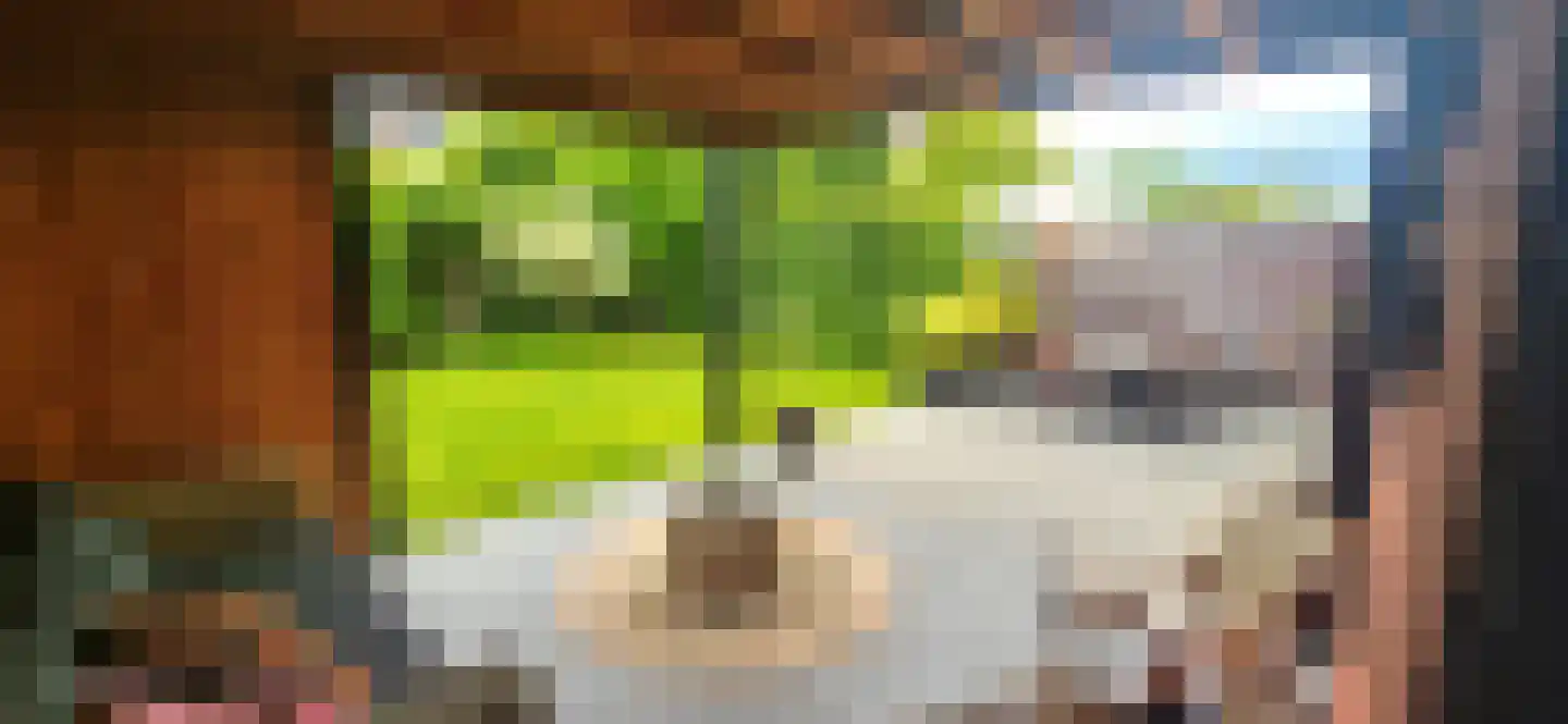 Lijster 14 Eijsden thumbnail 40