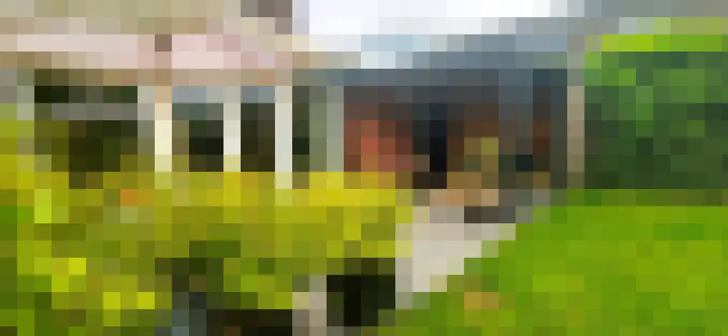 Lijster 14 Eijsden thumbnail 41