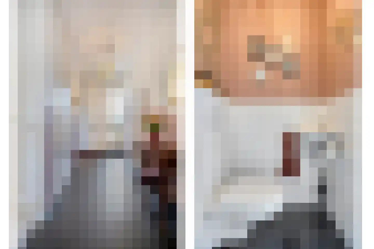 Lijster 14 Eijsden thumbnail 5