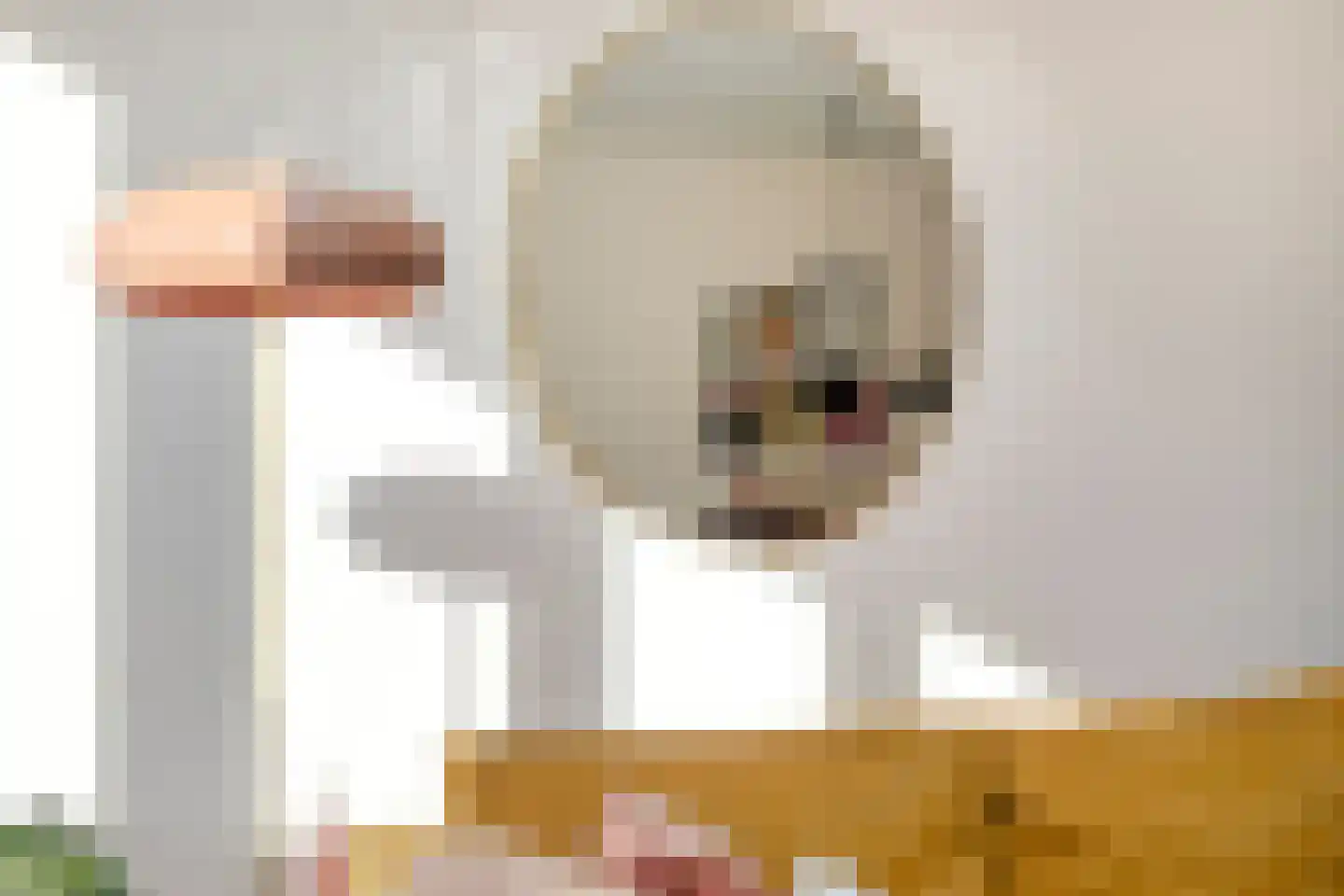 Lijster 14 Eijsden thumbnail 9