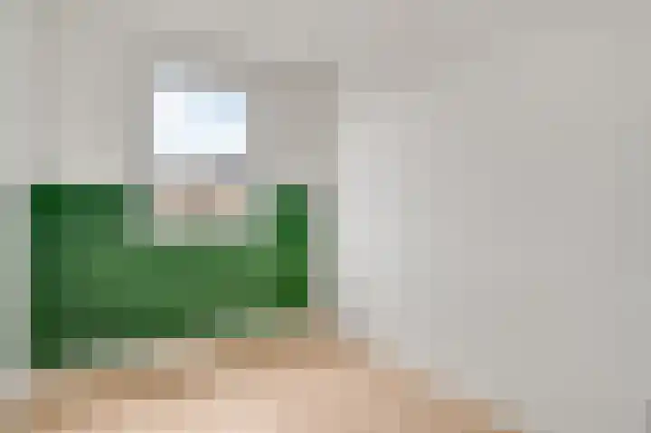 Lijster 15 Eijsden thumbnail 13