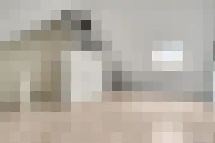 Lijster 15 Eijsden thumbnail 16