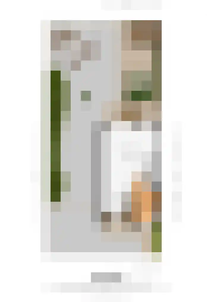Lijster 15 Eijsden thumbnail 21