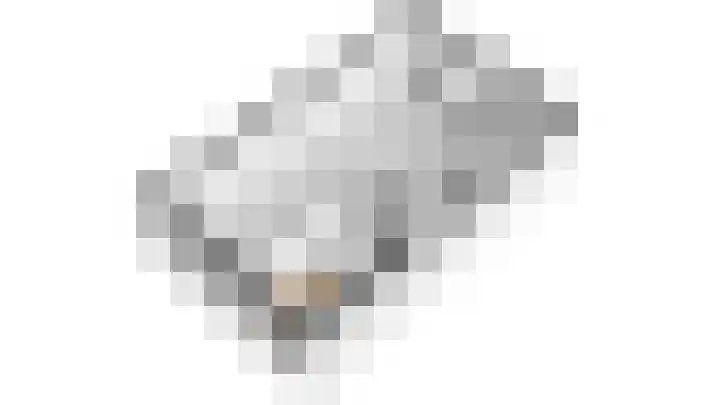 Lijster 15 Eijsden thumbnail 24