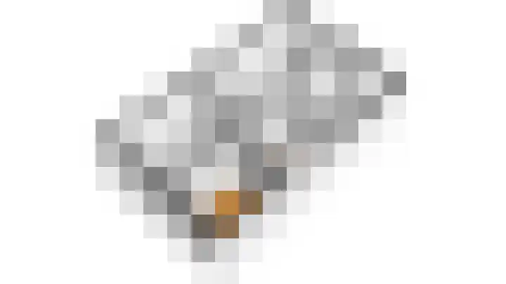 Lijster 15 Eijsden thumbnail 26