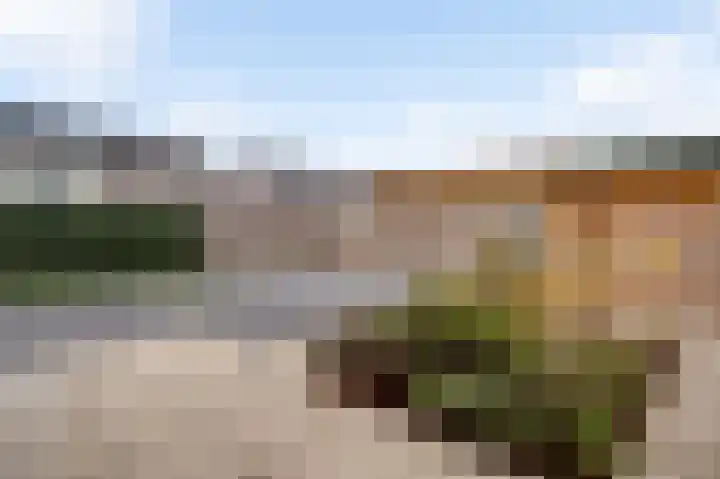 Lijster 15 Eijsden thumbnail 4