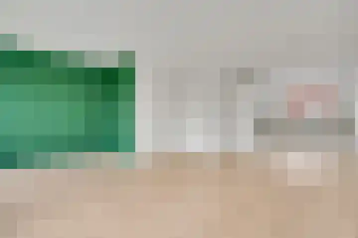 Lijster 15 Eijsden thumbnail 6