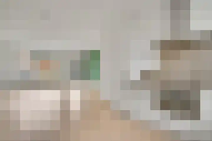Lijster 15 Eijsden thumbnail 8