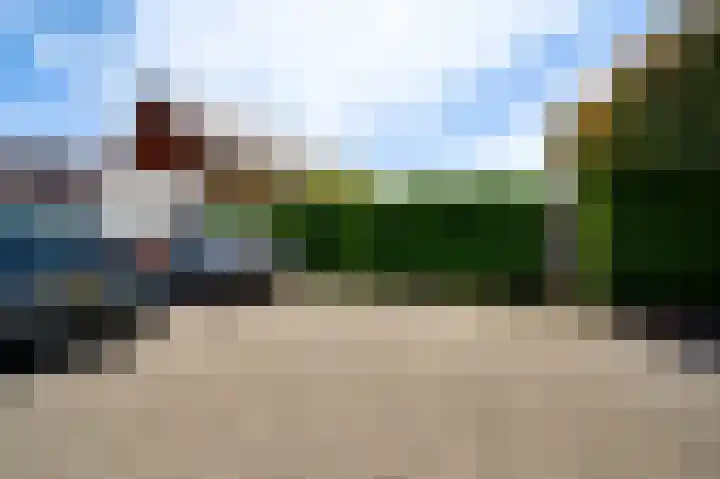 Lijster 16 Eijsden thumbnail 12