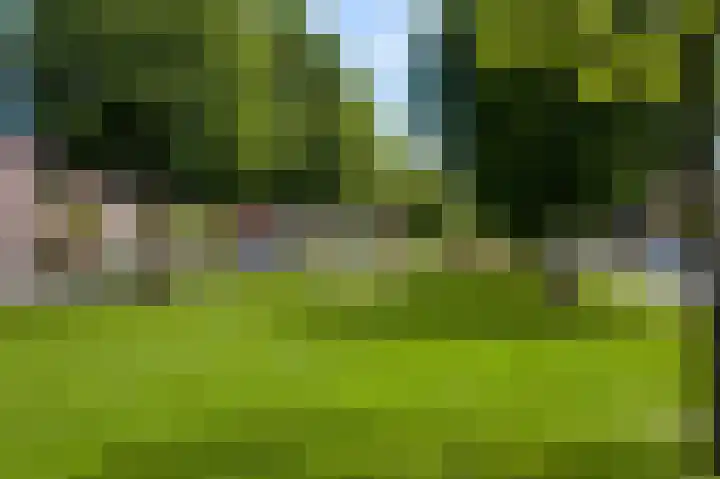 Lijster 16 Eijsden thumbnail 13
