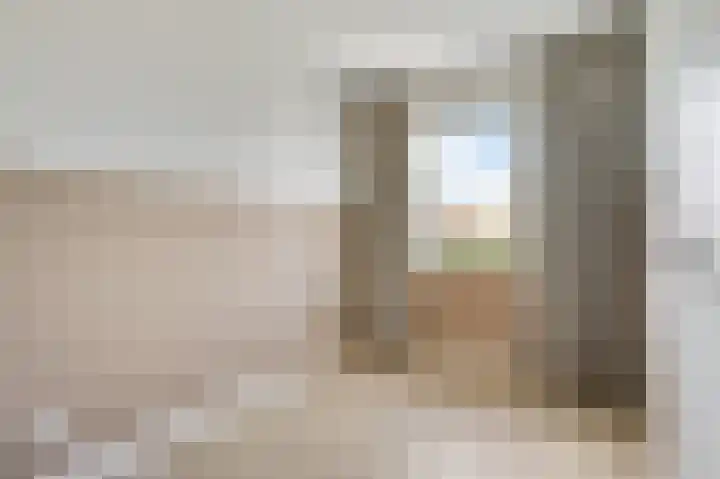 Lijster 16 Eijsden thumbnail 17
