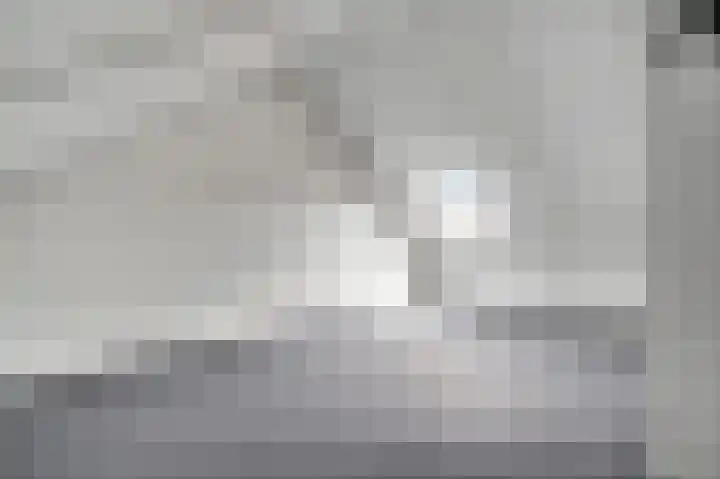 Lijster 16 Eijsden thumbnail 20