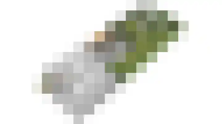 Lijster 16 Eijsden thumbnail 22